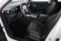 MG ZS 1.5 Hybrid Luxury Aut. LED ACC Navi 360° Weiß - thumbnail 21