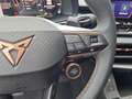 CUPRA Terramar 1.5 eTSI 110 kW AHK EDGE Dynamic Intelligent 11... Grau - thumbnail 17