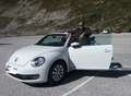 Volkswagen Beetle Beetle Cabrio 1,2 TSI BMT Design Design Weiß - thumbnail 1