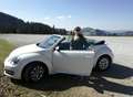 Volkswagen Beetle Beetle Cabrio 1,2 TSI BMT Design Design Weiß - thumbnail 2