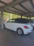 Volkswagen Beetle Beetle Cabrio 1,2 TSI BMT Design Design Weiß - thumbnail 4