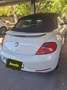 Volkswagen Beetle Beetle Cabrio 1,2 TSI BMT Design Design Weiß - thumbnail 5