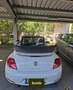 Volkswagen Beetle Beetle Cabrio 1,2 TSI BMT Design Design Weiß - thumbnail 10