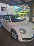 Volkswagen Beetle Beetle Cabrio 1,2 TSI BMT Design Design Weiß - thumbnail 6