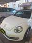 Volkswagen Beetle Beetle Cabrio 1,2 TSI BMT Design Design Weiß - thumbnail 3