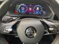 Skoda Octavia Combi 1.4TSI DSG iV RS AHK-Vorb.Cam Pano Grau - thumbnail 9