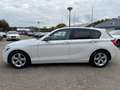 BMW 114 1-serie 114i EDE Business+|Nieuwe Ketting + Klepse Wit - thumbnail 12