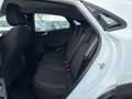 Ford Puma 1.0 Titanium NAV*LED*KLIMAAUT*SHZ*PDC*ALU17 Wit - thumbnail 25