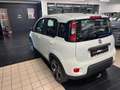 Fiat Panda 1.2 easypower Sport Gpl Wit - thumbnail 7