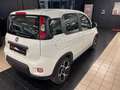 Fiat Panda 1.2 easypower Sport Gpl Wit - thumbnail 5