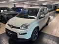 Fiat Panda 1.2 easypower Sport Gpl Wit - thumbnail 6