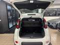 Fiat Panda 1.2 easypower Sport Gpl Wit - thumbnail 14