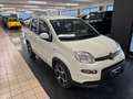 Fiat Panda 1.2 easypower Sport Gpl Wit - thumbnail 4