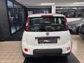 Fiat Panda 1.2 easypower Sport Gpl Wit - thumbnail 8