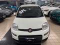 Fiat Panda 1.2 easypower Sport Gpl Wit - thumbnail 2