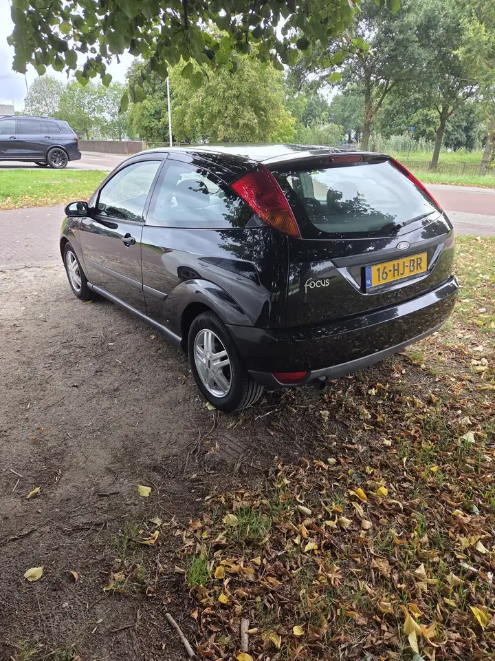 Ford Focus 1.6i SE 16v Colour Collection, foto 3