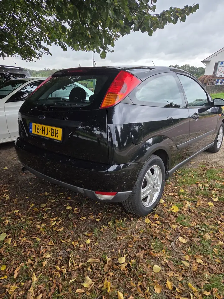 Ford Focus 1.6i SE 16v Colour Collection, foto 4