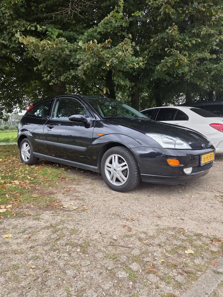 Ford Focus 1.6i SE 16v Colour Collection, foto 2