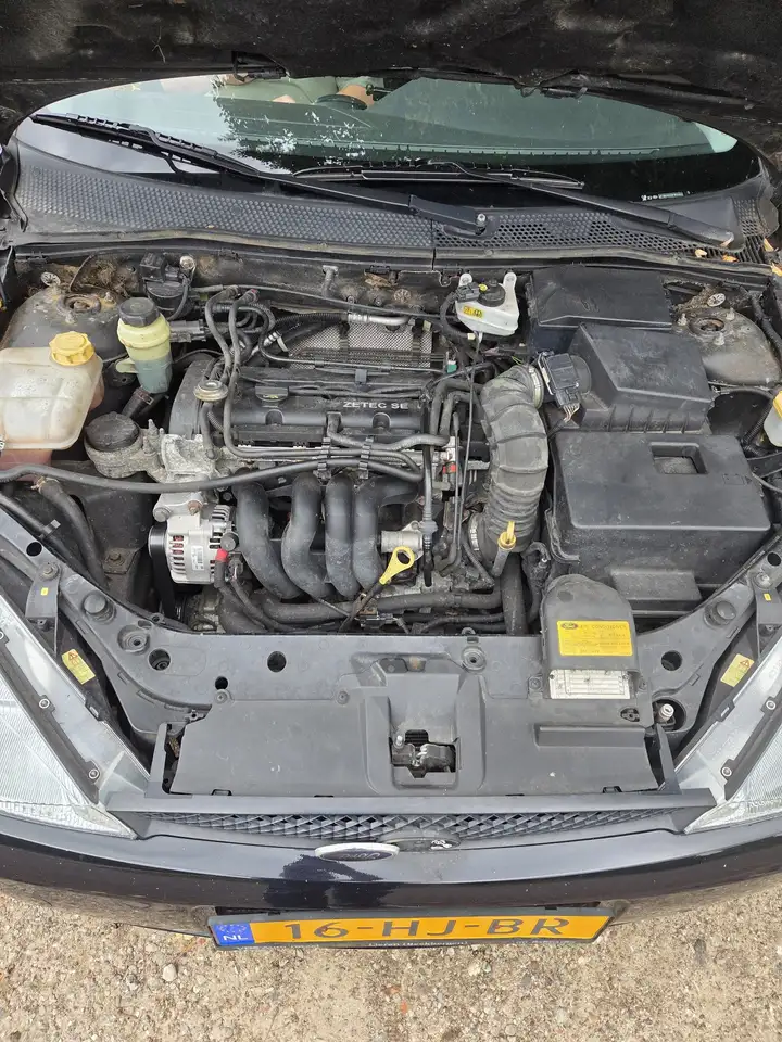 Ford Focus 1.6i SE 16v Colour Collection, foto 5