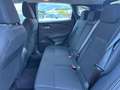 Nissan Qashqai HYBRID BUSINESS 1.3cc 158cv MHEV X-TRONIC Szary - thumbnail 13