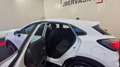 Ford Puma 1.0 ECOBOOST 125 CH MHEV SS POWERSHIFT TITANIUM Weiß - thumbnail 12