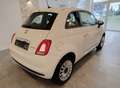Fiat 500 500 1.0 GSE Hybrid,1.Hd, Garantie, Klimaautomatik Weiß - thumbnail 4