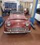 Triumph TR3 TR3 DA RESTAURO Bianco - thumbnail 9