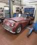Triumph TR3 TR3 DA RESTAURO Bianco - thumbnail 1
