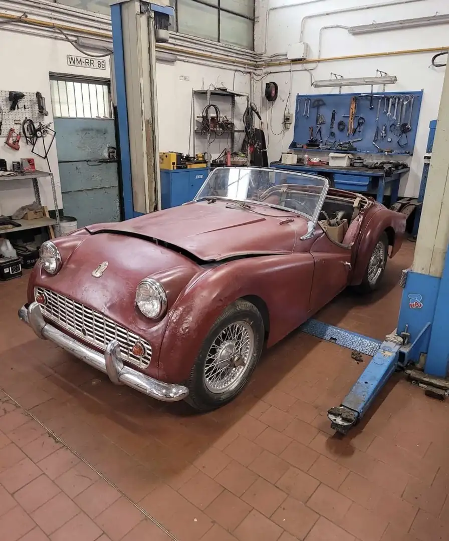Triumph TR3 TR3 DA RESTAURO Bianco - 1