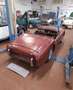 Triumph TR3 TR3 DA RESTAURO Bianco - thumbnail 7