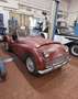 Triumph TR3 TR3 DA RESTAURO Bianco - thumbnail 10