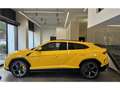 Lamborghini Urus urus 4.0 V8 650 CH BVA8 Or - thumbnail 3