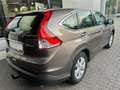 Honda CR-V 1.6i DTEC 2WD Comfort -€1000 OKTOBER ACTIE Brun - thumbnail 3