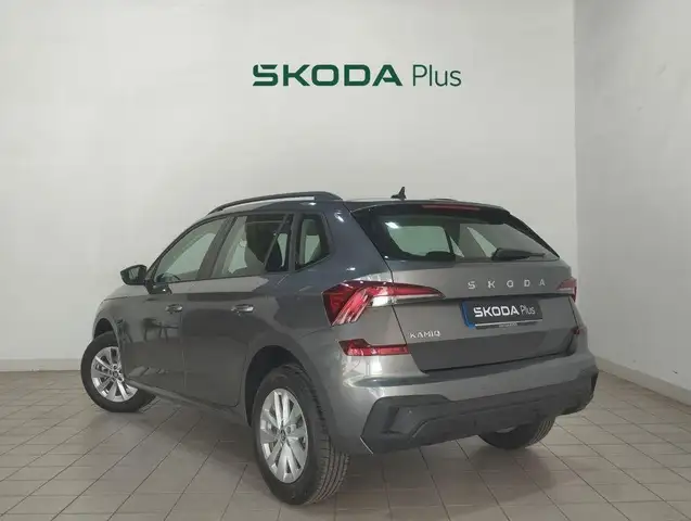 Skoda Kamiq view 2
