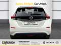Nissan Leaf 40 kWh N-Connecta Winterpaket +NAVI Weiß - thumbnail 5