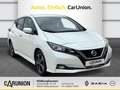 Nissan Leaf 40 kWh N-Connecta Winterpaket +NAVI Bianco - thumbnail 3