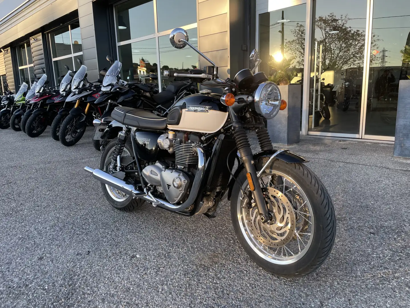 Triumph Bonneville T120 Blanc - 2