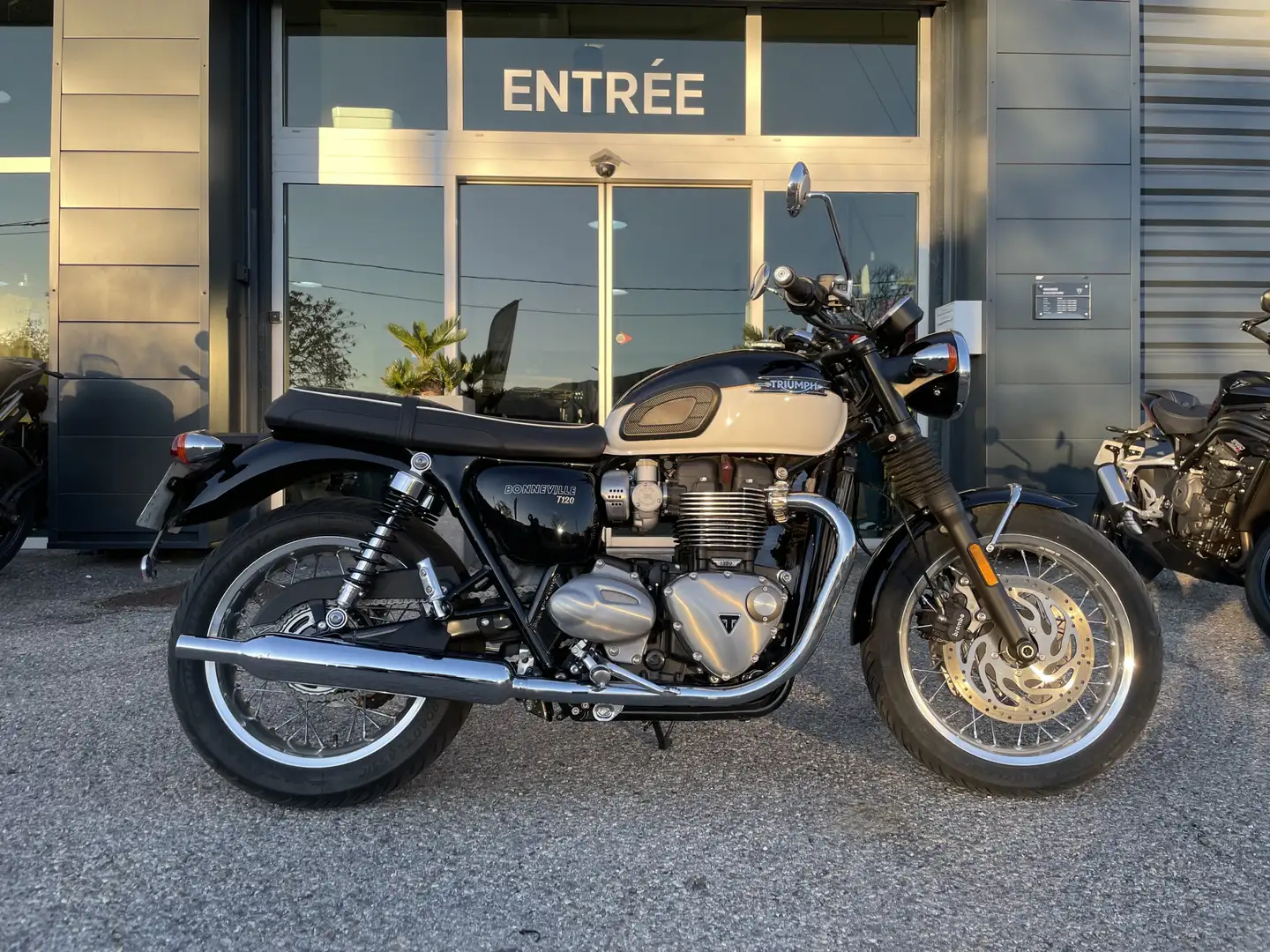 Triumph Bonneville T120 Blanc - 1