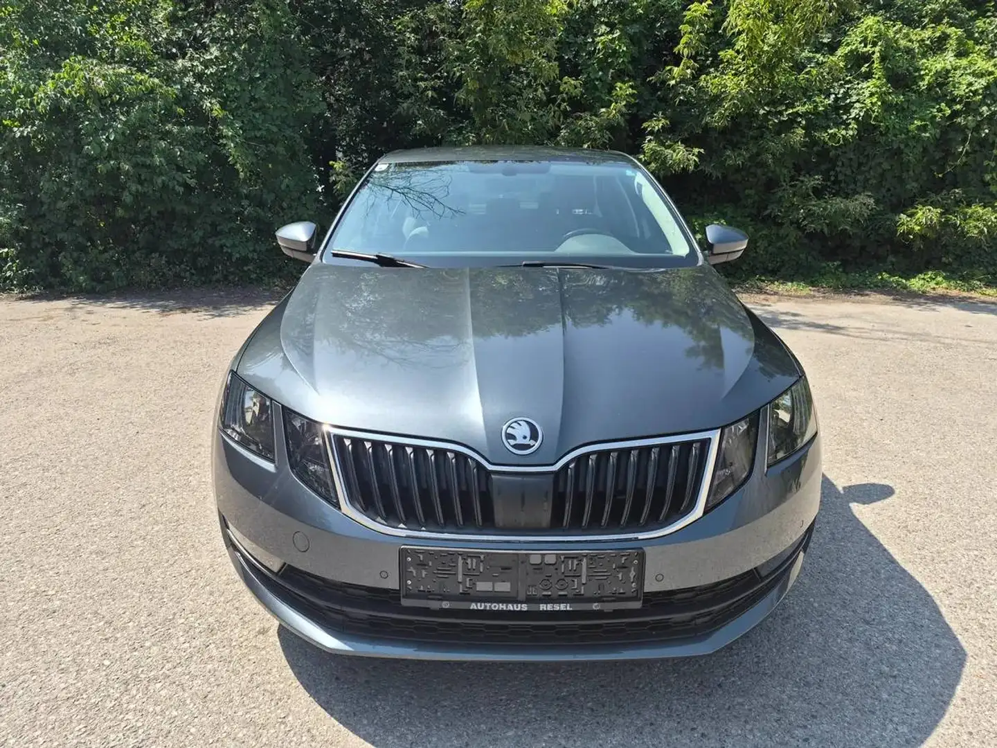 Skoda Octavia Octavia 1,5 TSI Ambition Limited Ambition Limited Grau - 2
