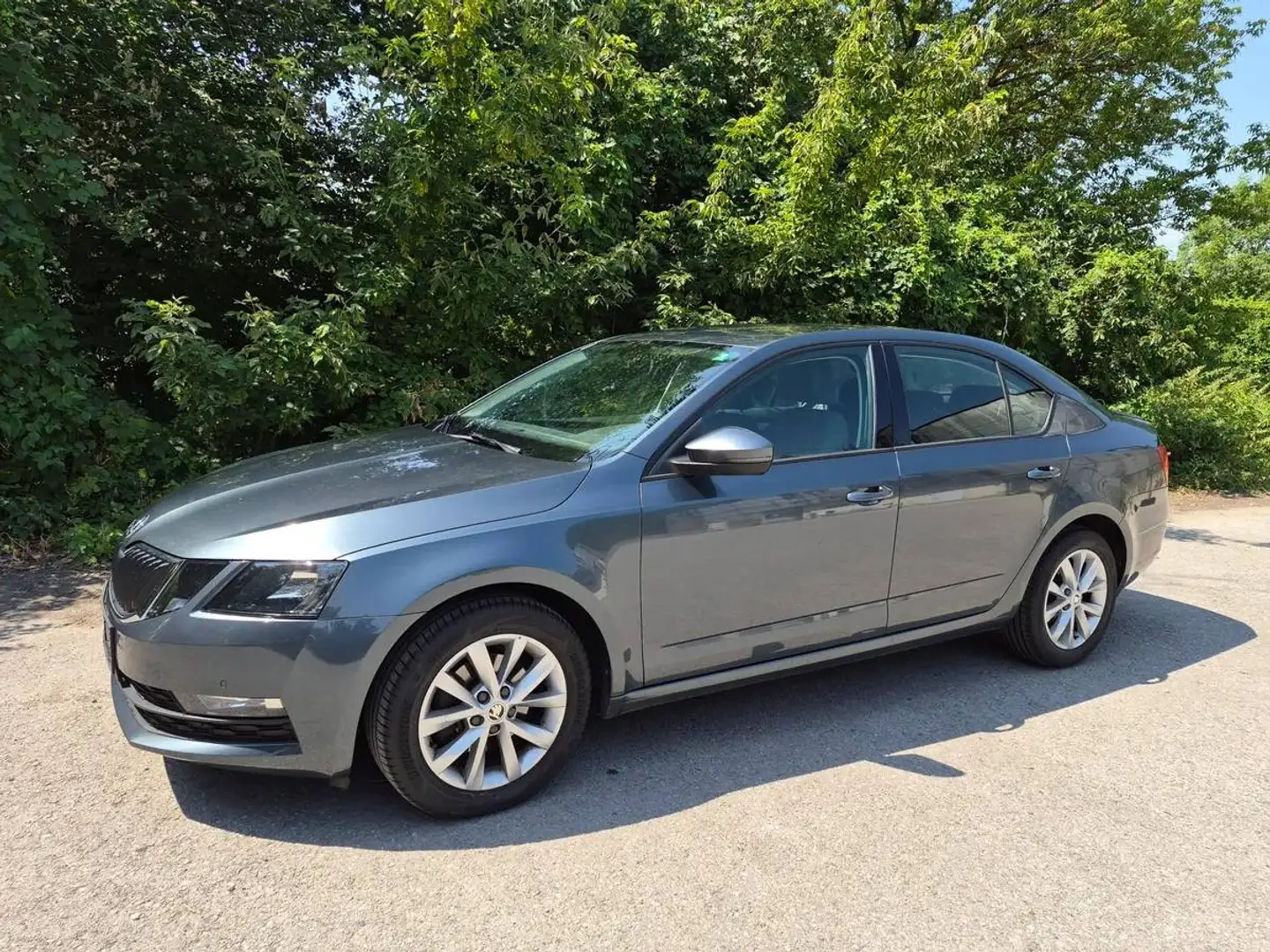 Skoda Octavia Octavia 1,5 TSI Ambition Limited Ambition Limited Grau - 1