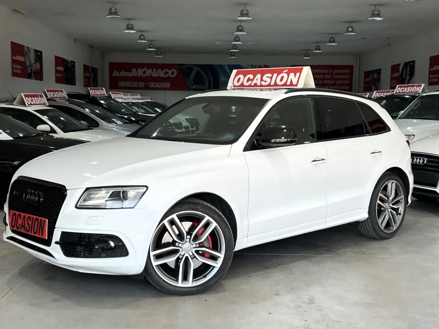 Audi SQ5 3.0TDI Plus quattro Tiptronic 340 Blanc - 1