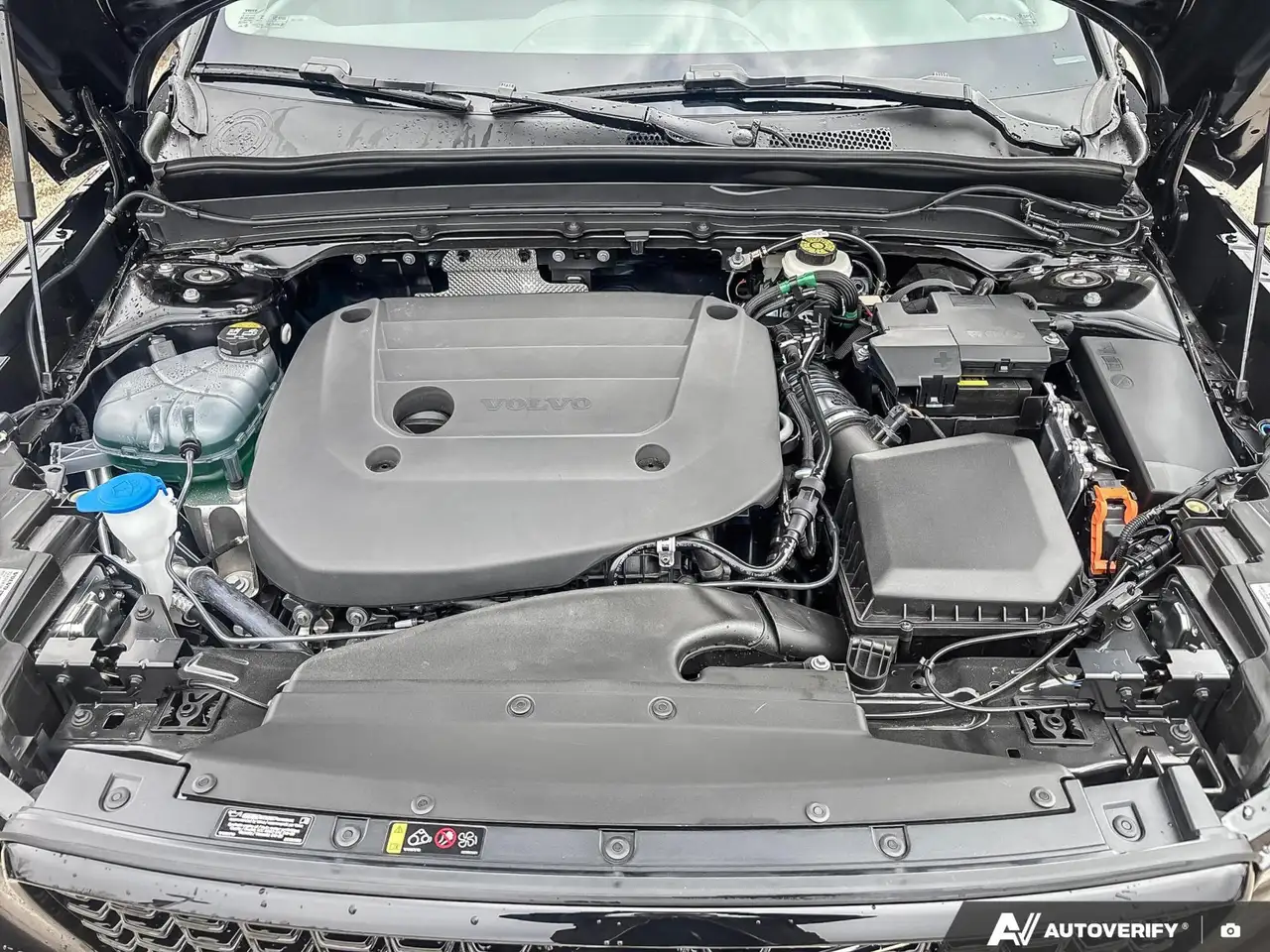Volvo XC40 снимка Volvo XC40