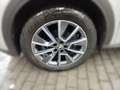 Skoda Kamiq 1.5 TSI DSG Scoutline FrontAssist Climatro Silber - thumbnail 3