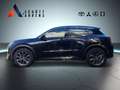Lexus LBX Elegant Black ED 1.5 PDCv+h Keyless SHZ Spurhaltea Noir - thumbnail 2