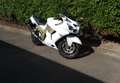 Kawasaki ZZR 1400 ZX14 Werkstattkosten Motor ab 2500€ - thumbnail 2
