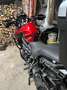 Triumph Tiger 1200 XRT Rosso - thumbnail 3