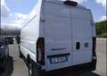 Fiat Ducato eDucato 35 270CV PLM-TM Furgone batterie 110kWh Blanc - thumbnail 3