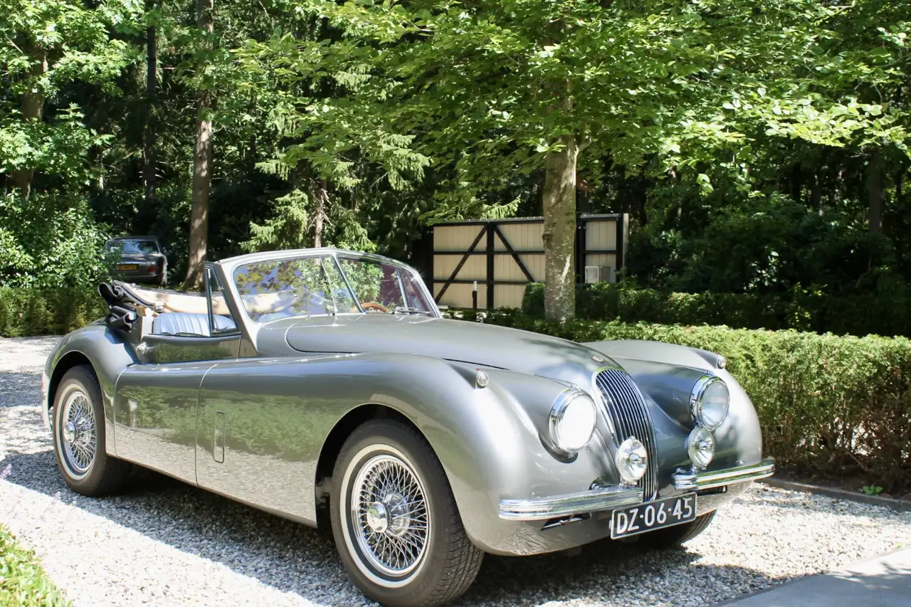Jaguar XK XK 1954