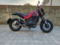 Benelli Leoncino 500 Rosso - thumbnail 2