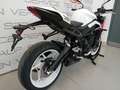Triumph Street Triple 765 R  A2 Blanco - thumbnail 3